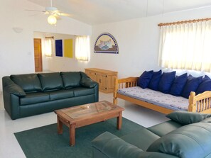 Flat-screen TV, fireplace, DVD player
