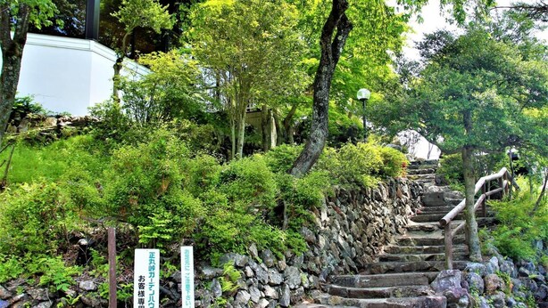 Un escalier en pierre, bordé d’une végétation luxuriante et d’arbres, qui monte une colline.