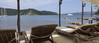 Sakin Vadi Winehouse