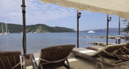 Sakin Vadi Winehouse