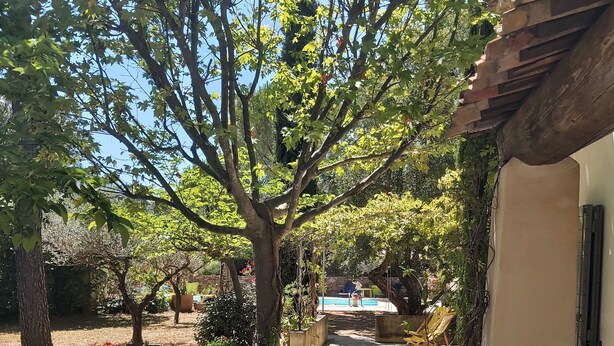Ein Innenhof mit Fliesenboden, Gartenmöbeln und einem großen Baum, der Schatten spendet.