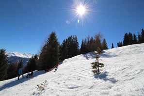 Botón de imagen sin clasificar, 5 de 51
