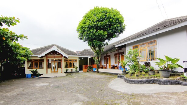 Un patio con un árbol grande, plantas en macetas y edificios tradicionales con techos de tejas.