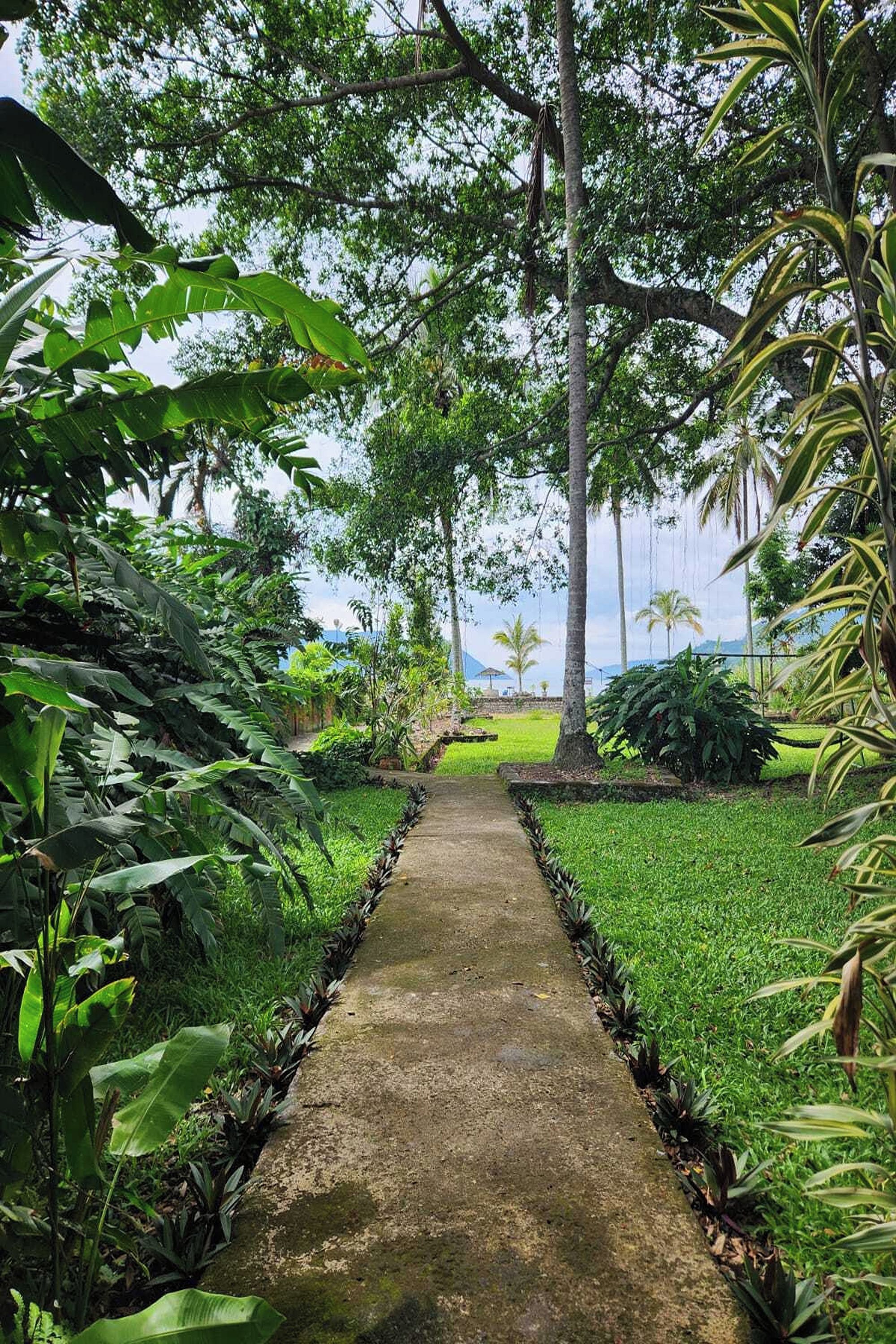 A pathway leading through a lush garden with various tropical plants and trees.