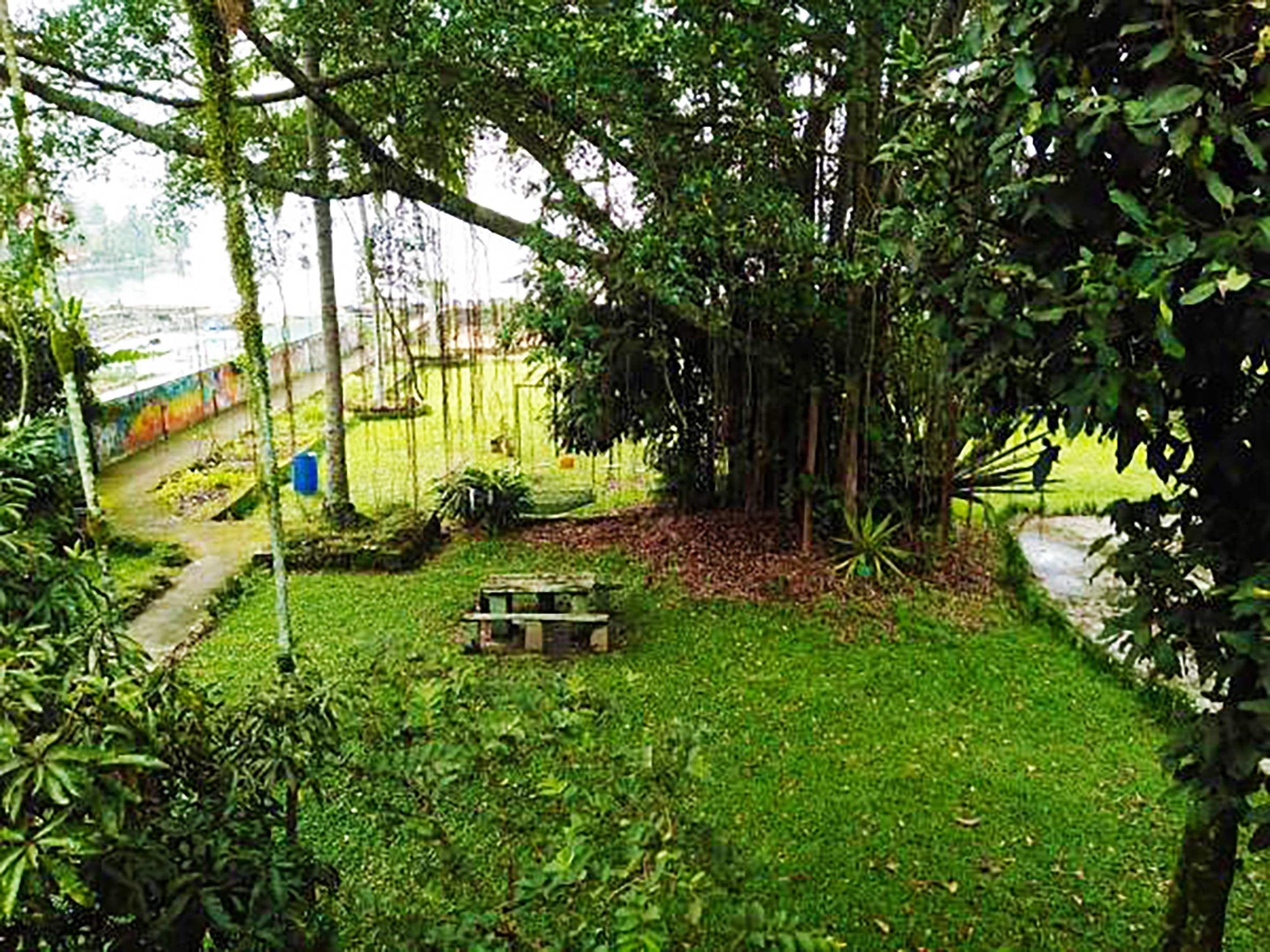 Un exuberante jardín con un sendero que lleva a un banco de madera.