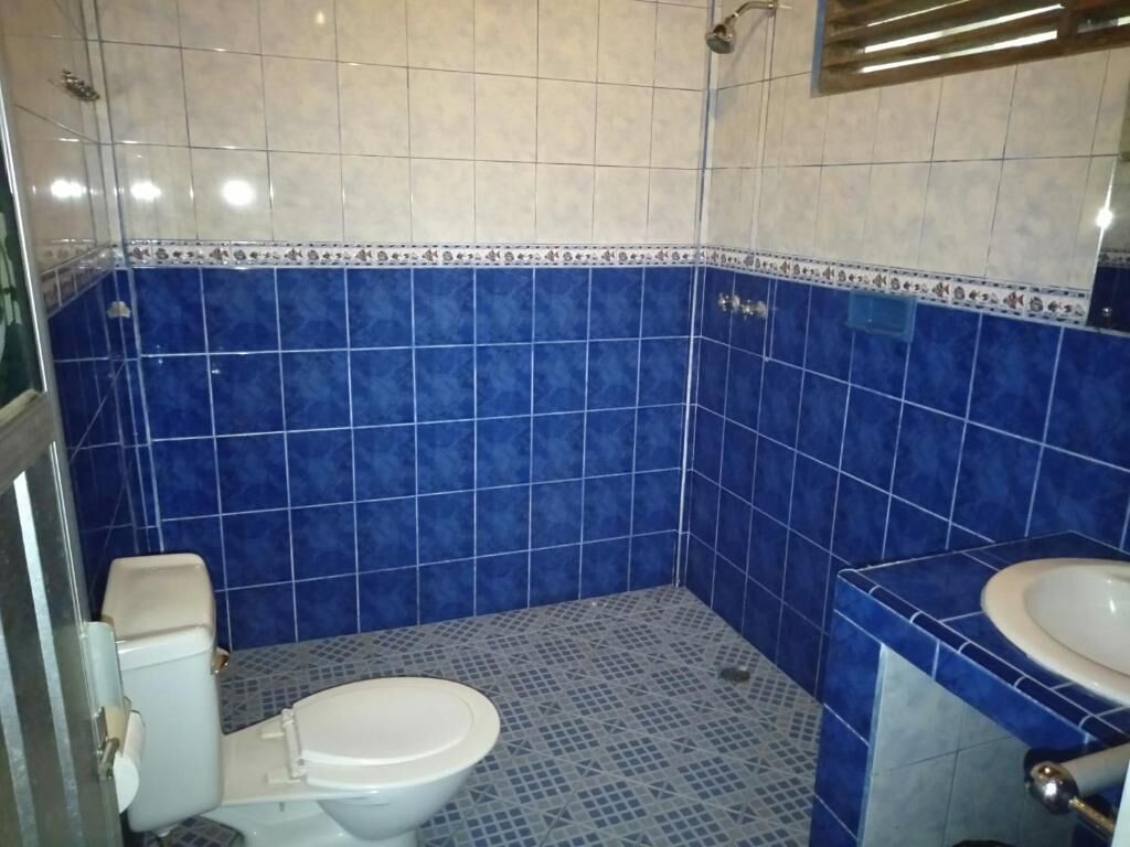 A bathroom with blue tiles, a toilet, a sink, and a shower.