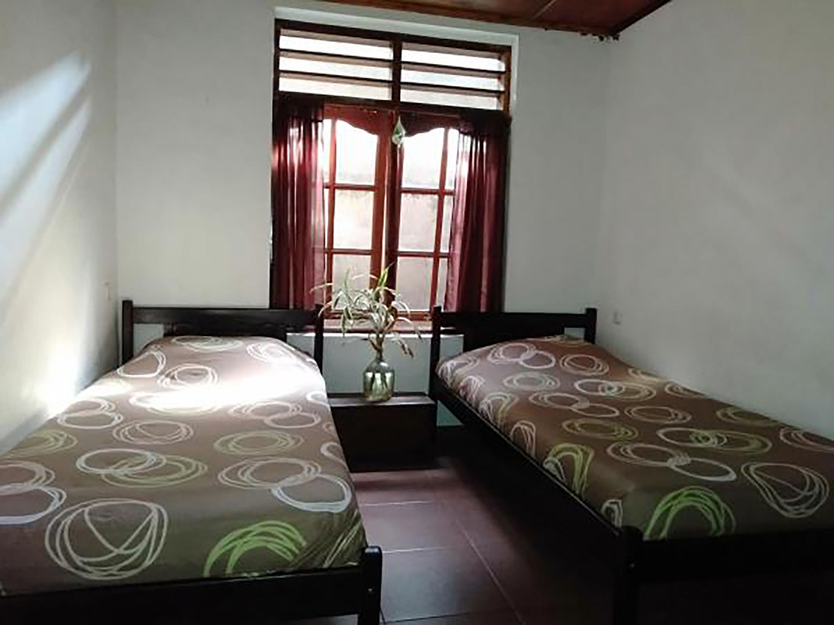 A room with two single beds, a window with curtains, and a small table with a plant.