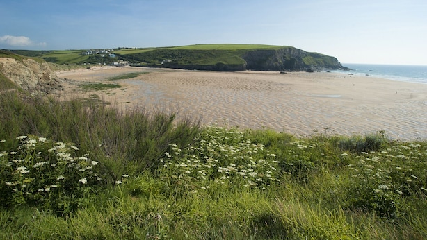 Eine Küstenlandschaft mit Sandstrand, Grasflächen und einer Klippe.