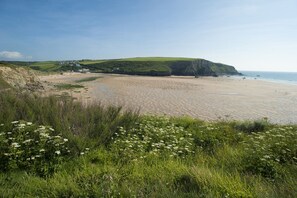 A coastal landscape with a sandy beach, grassy areas, and a cliff.