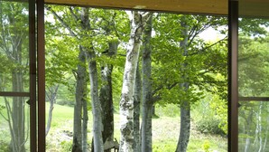 Ein Zimmer mit Tatami-Böden und einem großen Fenster mit Blick auf ein bewaldetes Gebiet mit Birkenbäumen.