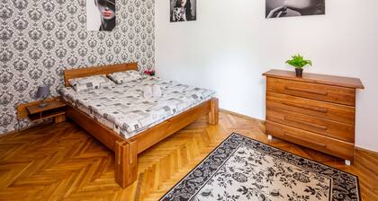 Nice apartment at the center