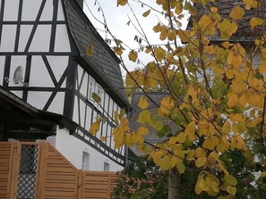 Detalle del exterior