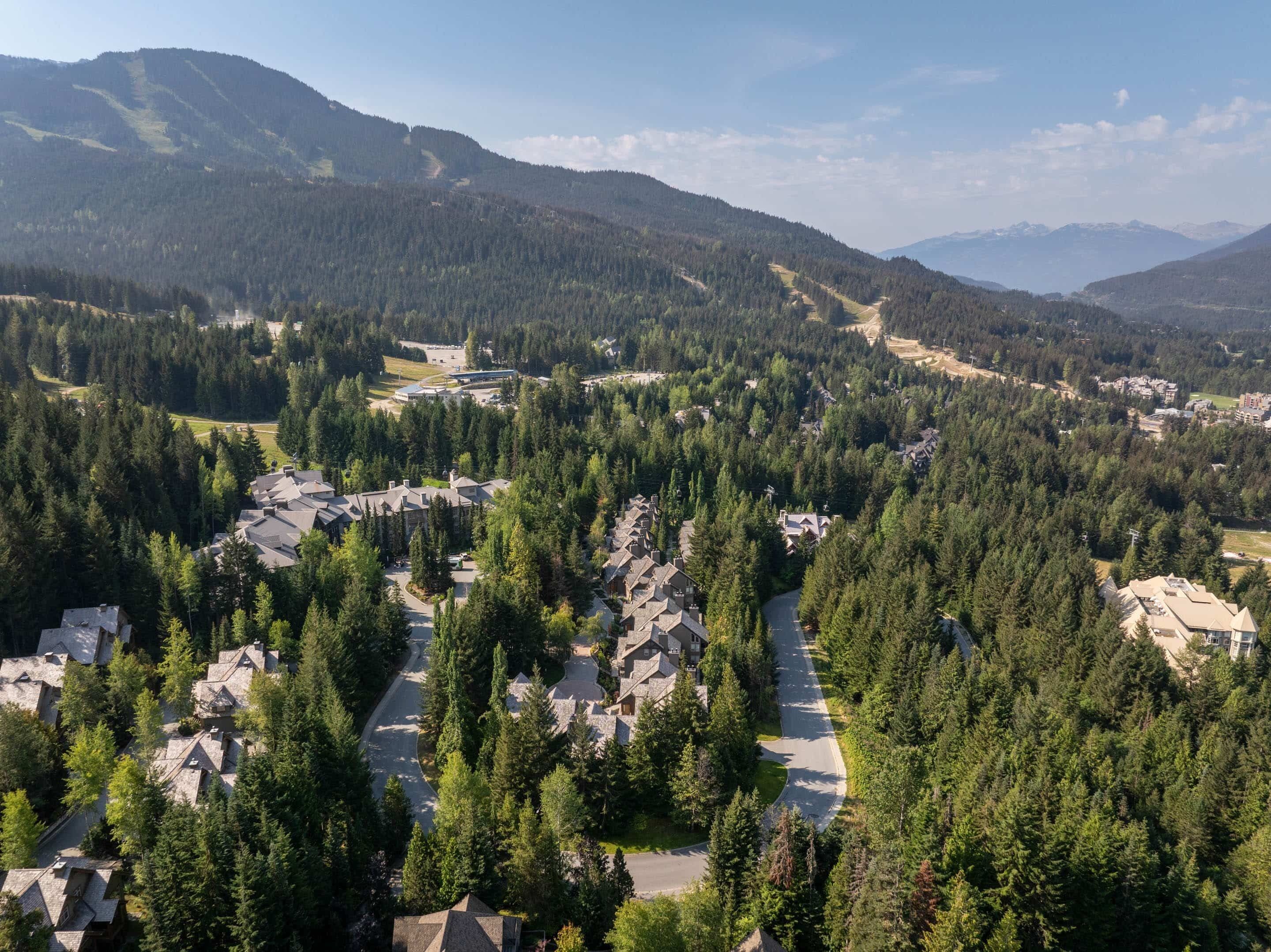 Zona residencial con casas rodeadas de bosques densos y montañas al fondo.