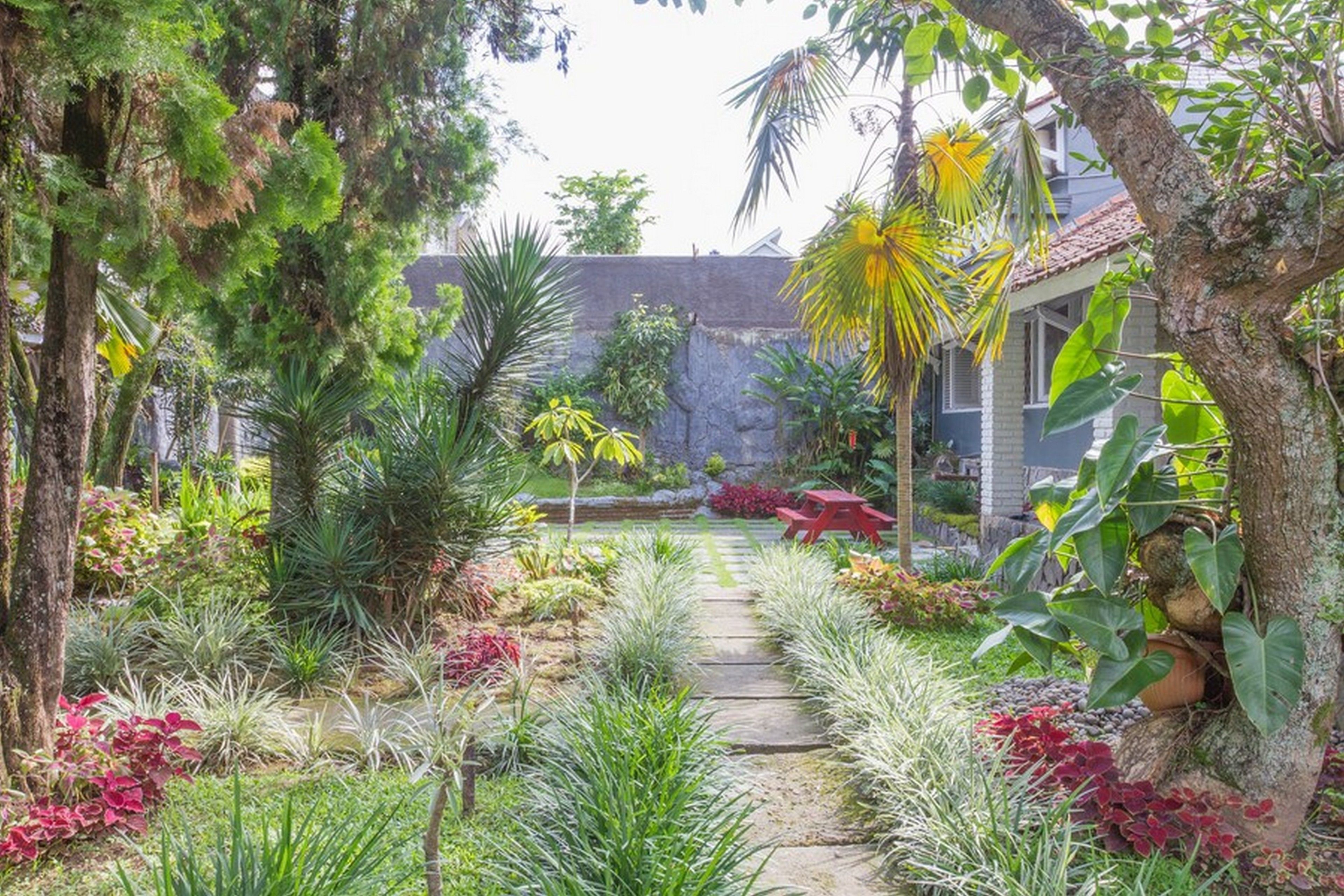 A garden pathway leading to a house with a stone wall and a red bench.