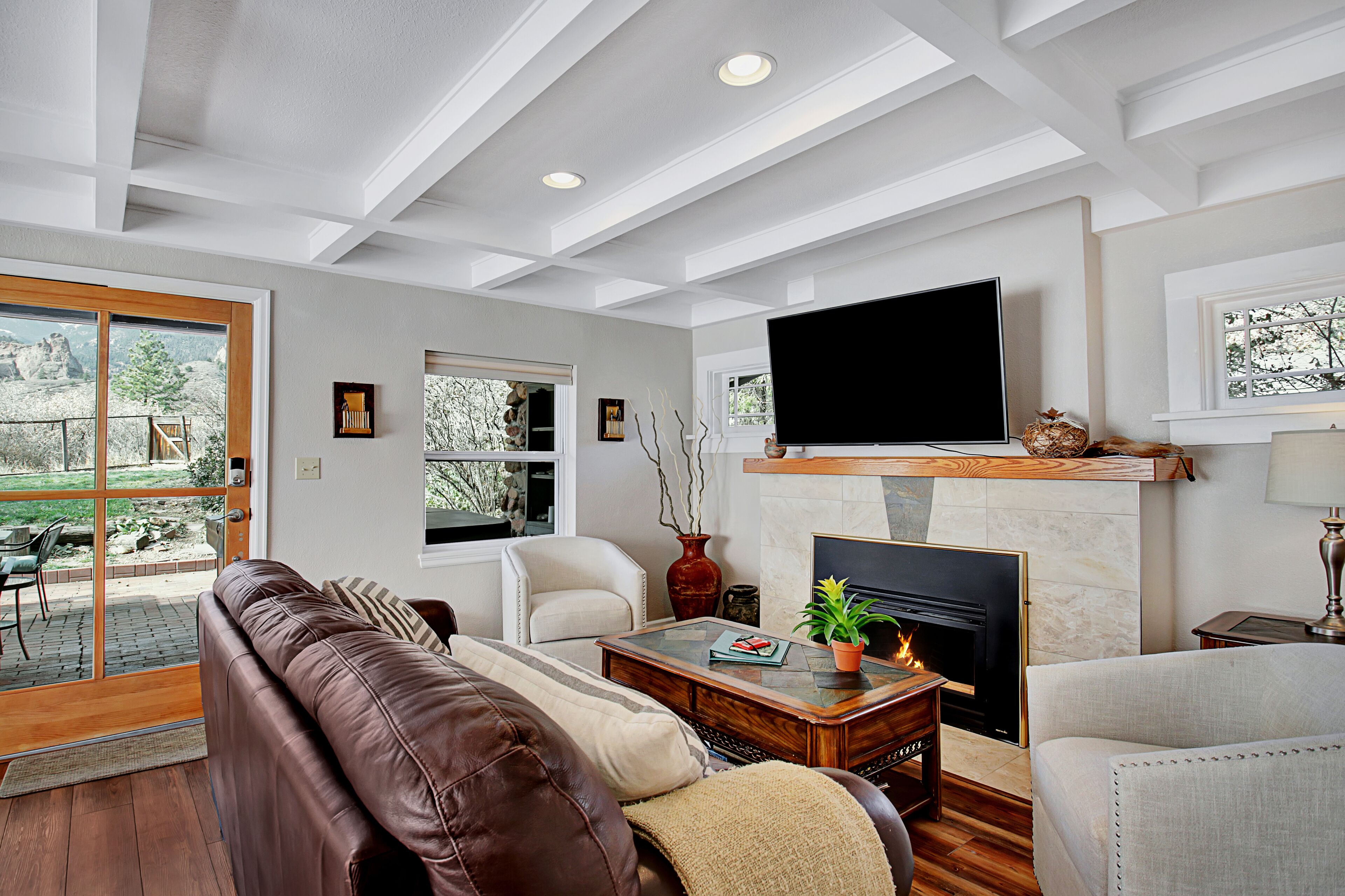 Smart TV, fireplace, books