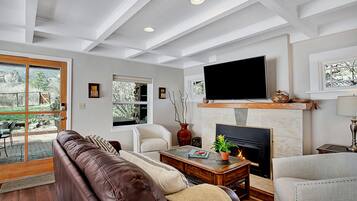 Smart TV, fireplace, books