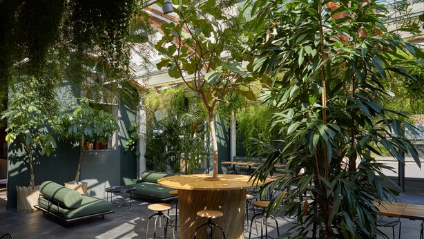Un espacio exterior moderno con un mobiliario de jardín que incluye una mesa redonda de madera, sillas, un sofá verde y una planta grande en maceta.