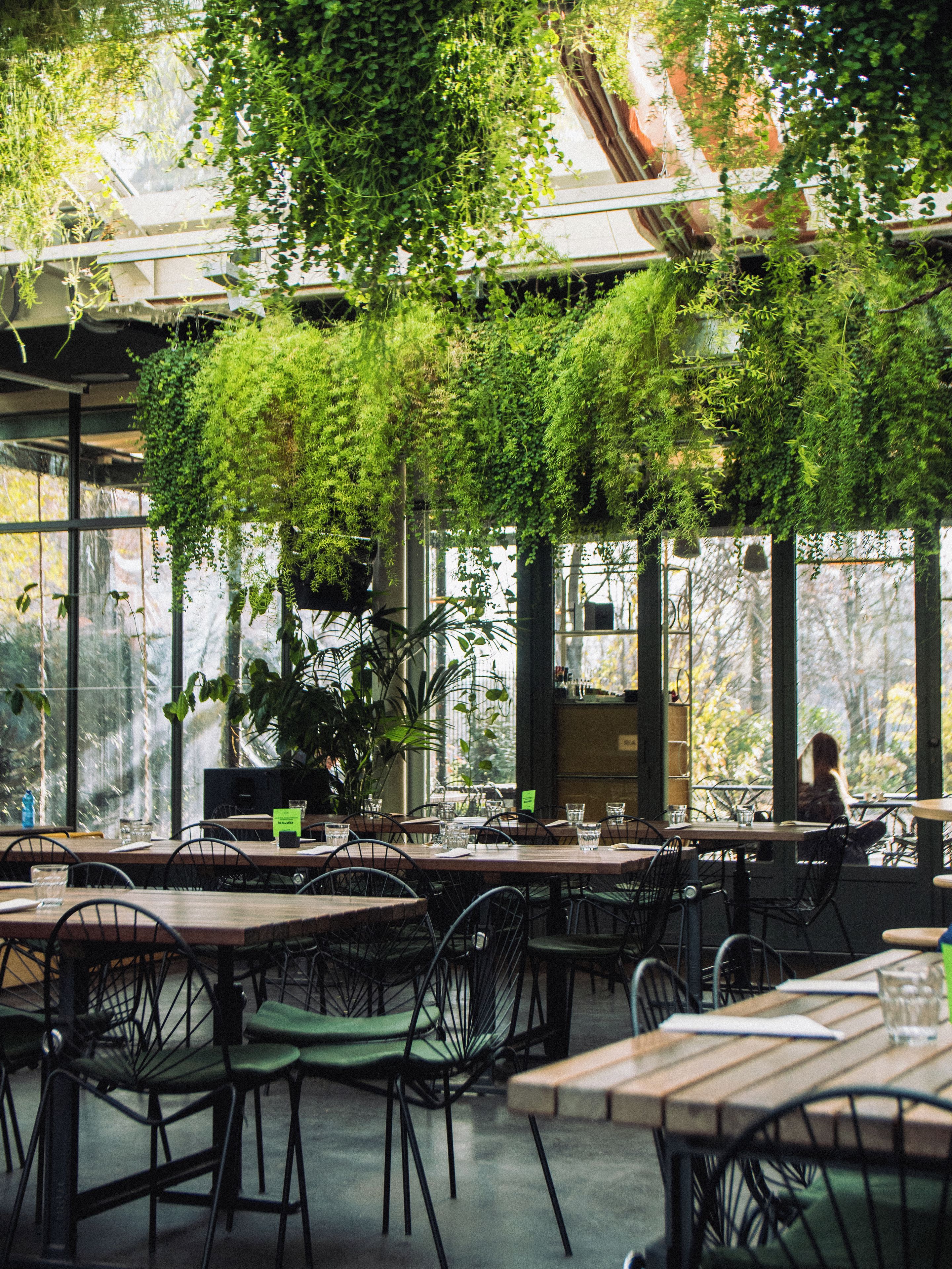 An indoor dining area with tables and chairs, large windows, and hanging greenery.