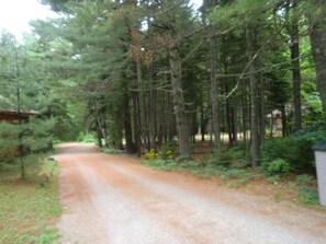 Property grounds - Acadia Explorer Cabin Rentals Cabin 1  (Southwest Harbor)