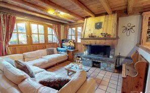 Televisión, chimenea, reproductor de DVD y libros