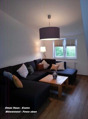 Fernseher