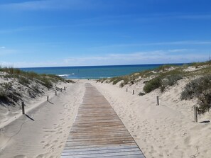 A wooden boardwalk leading to a beach with dunes and a clear blue sky.