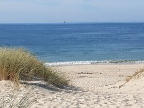 On the beach