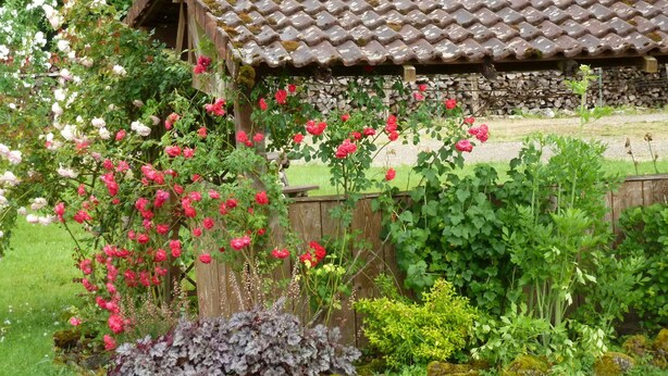 Ein rustikales Holzhaus mit Ziegeldach, umgeben von einem Garten mit verschiedenen Pflanzen und Blumen.