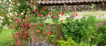 Les Cigales Chambre d'Hote