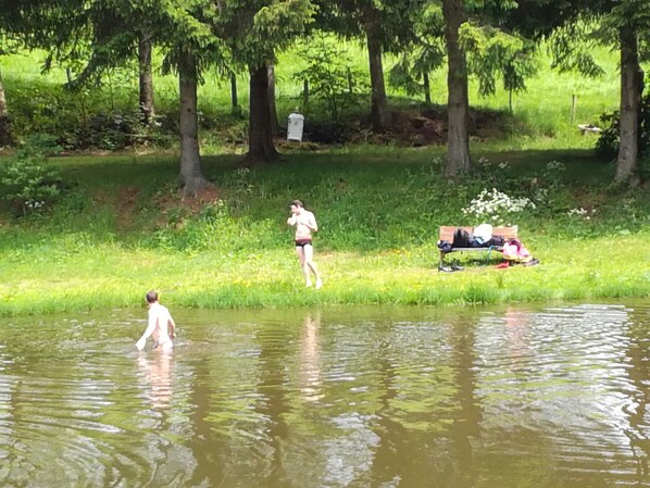 A park with a pond, trees, and a bench.