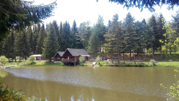 A cabin by a lake surrounded by tall trees. - Camping de Fléchat (Orcival)