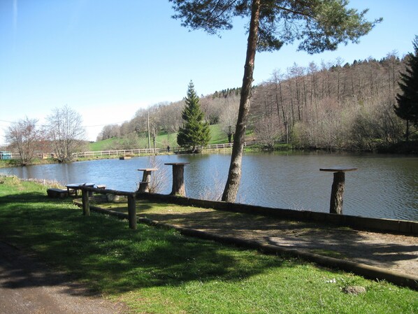 Vista al lago