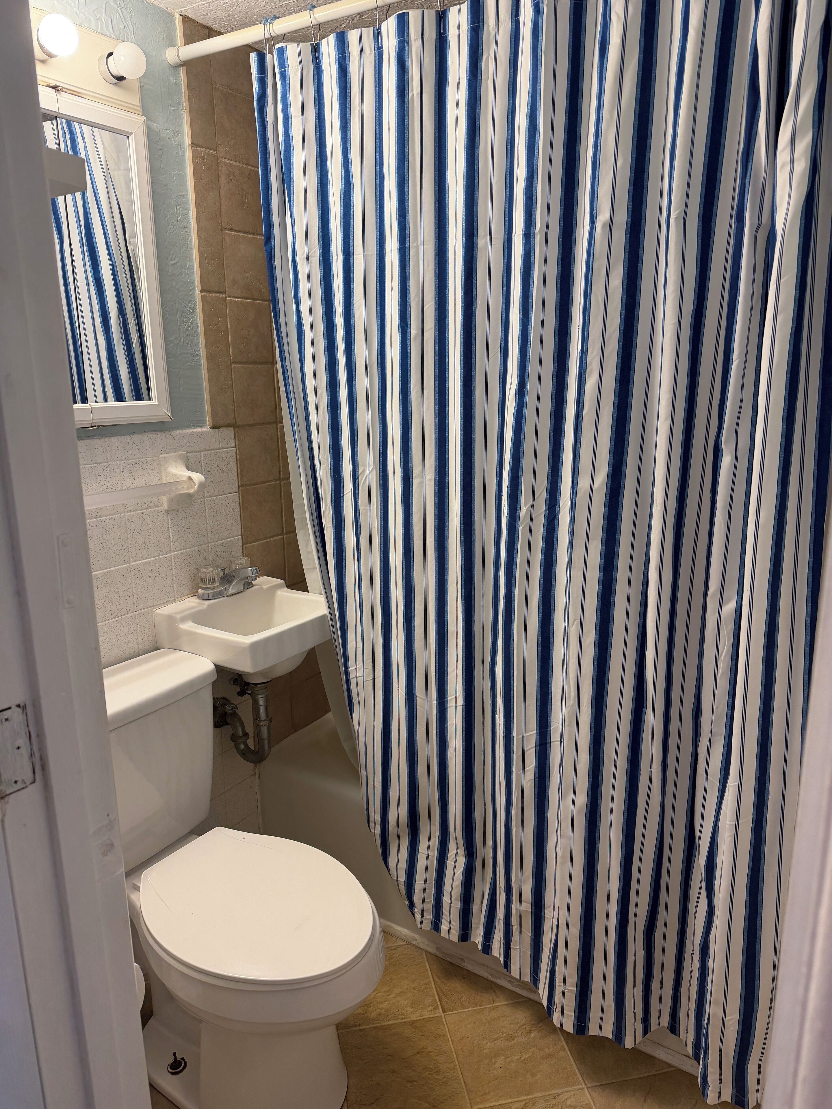 A bathroom with a striped shower curtain, a toilet, a sink, and a mirror.