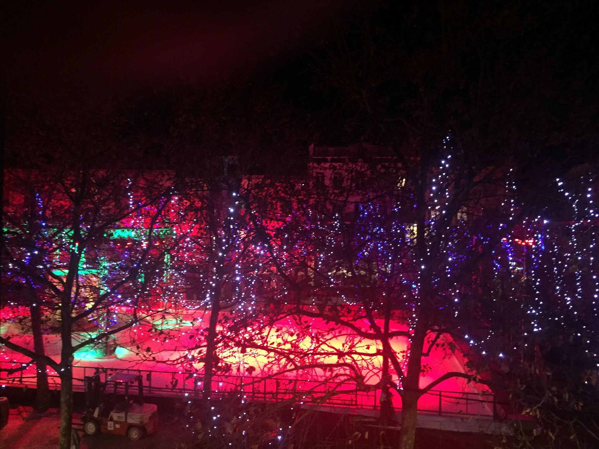 A nighttime view of a park with trees adorned with string lights.