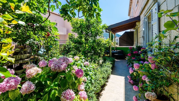 A narrow pathway flanked by lush greenery and flowering plants, leading to a building with a covered patio area. - Apartments and Room Frane - Double Room (Dubrovnik)