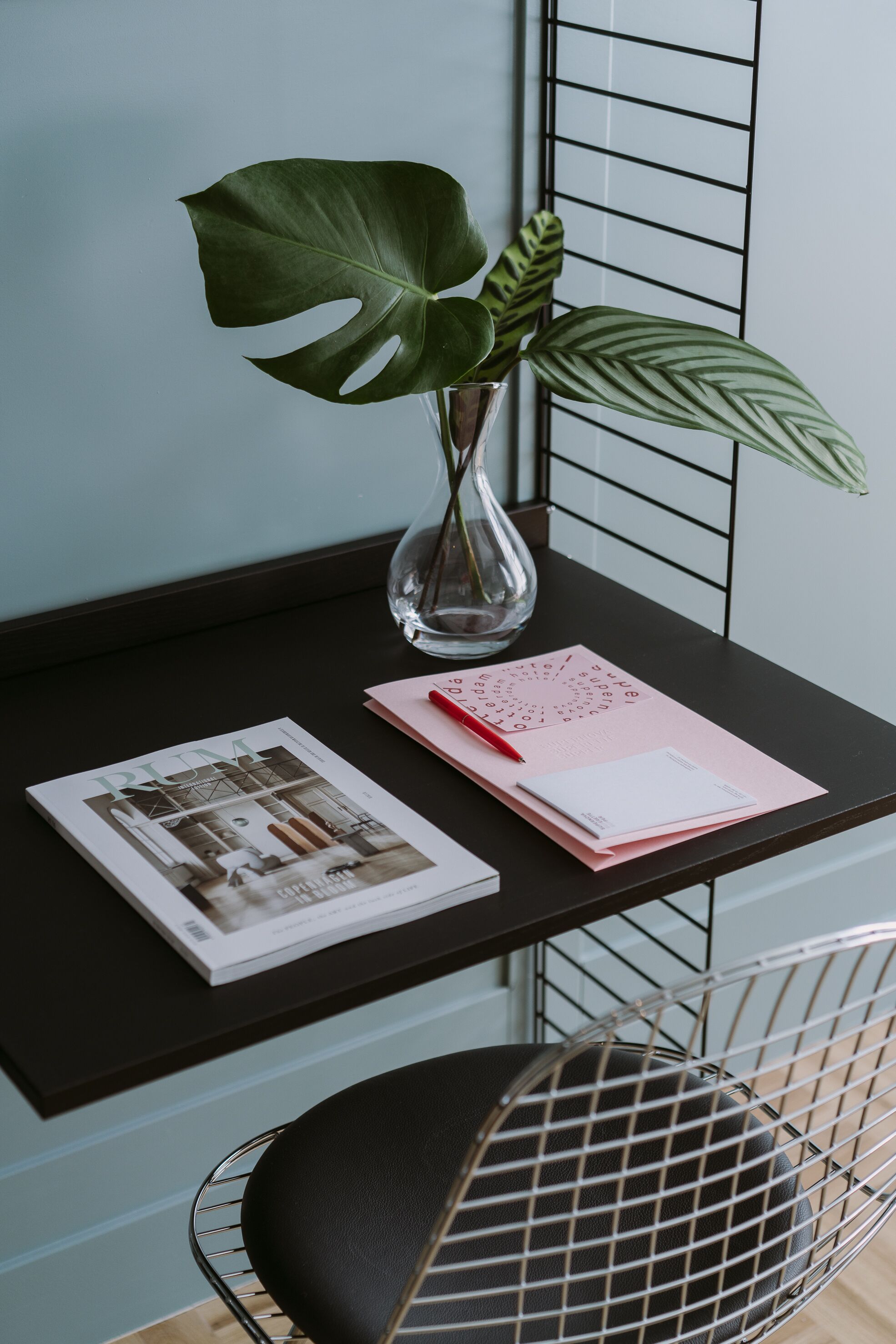 A desk with a magazine, a red pen, and a plant in a clear vase.