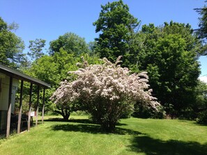 Terrain de l’hébergement 