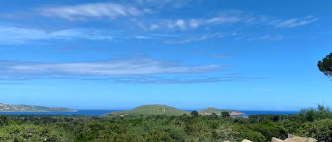 恒温泳池