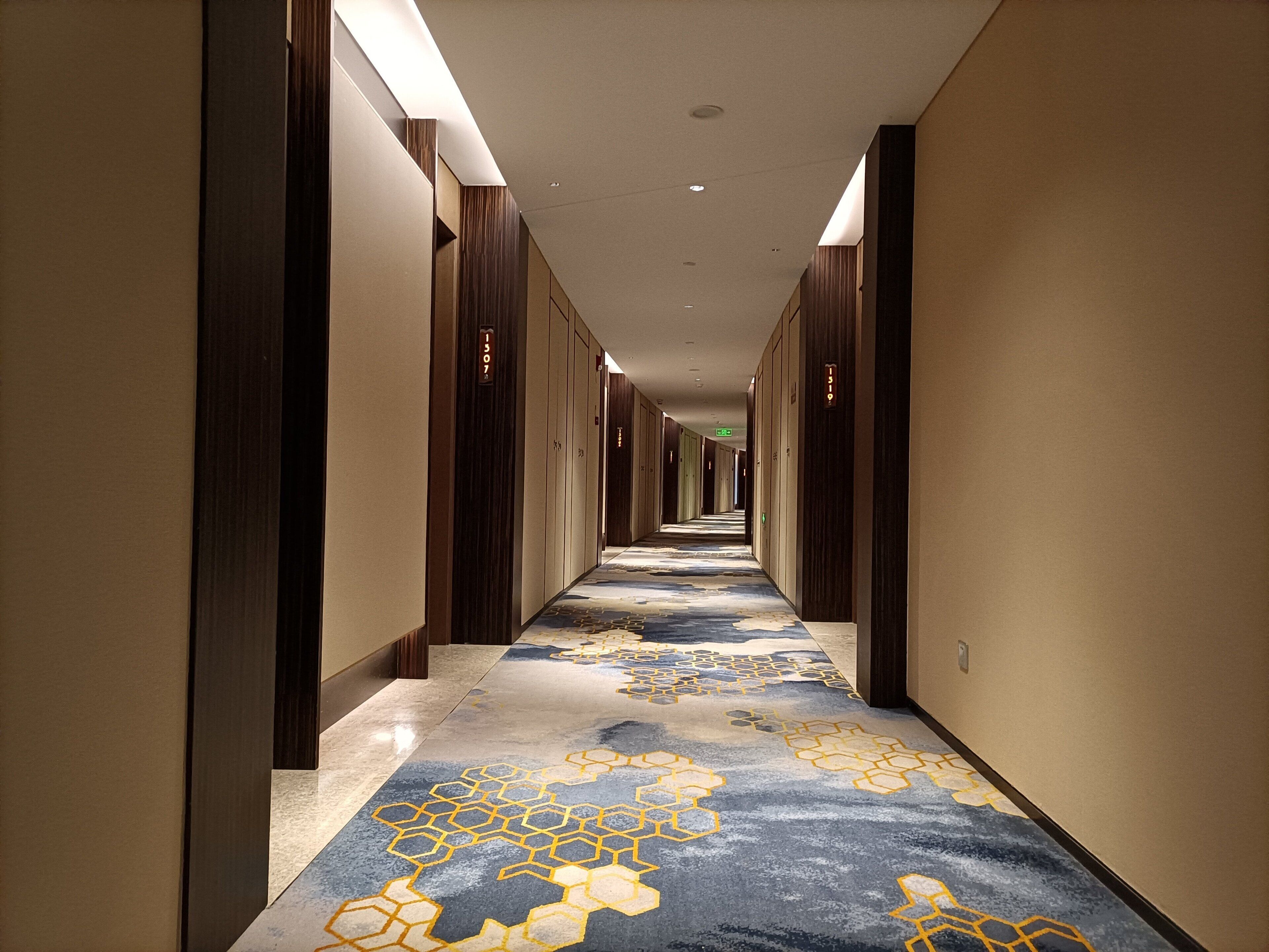 A long, narrow hotel corridor with a patterned carpet and wooden paneling on the walls.