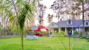 A house with a white picket fence, a lawn, and a red and white umbrella.