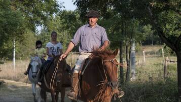 Ein Mann reitet auf einem Pferd auf einem Feldweg, im Hintergrund Bäume und ein Zaun.