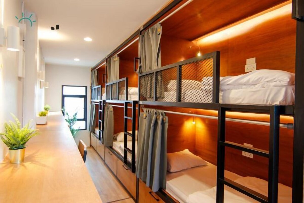 A bunk bed room with wooden walls, a window, and a plant on the floor.