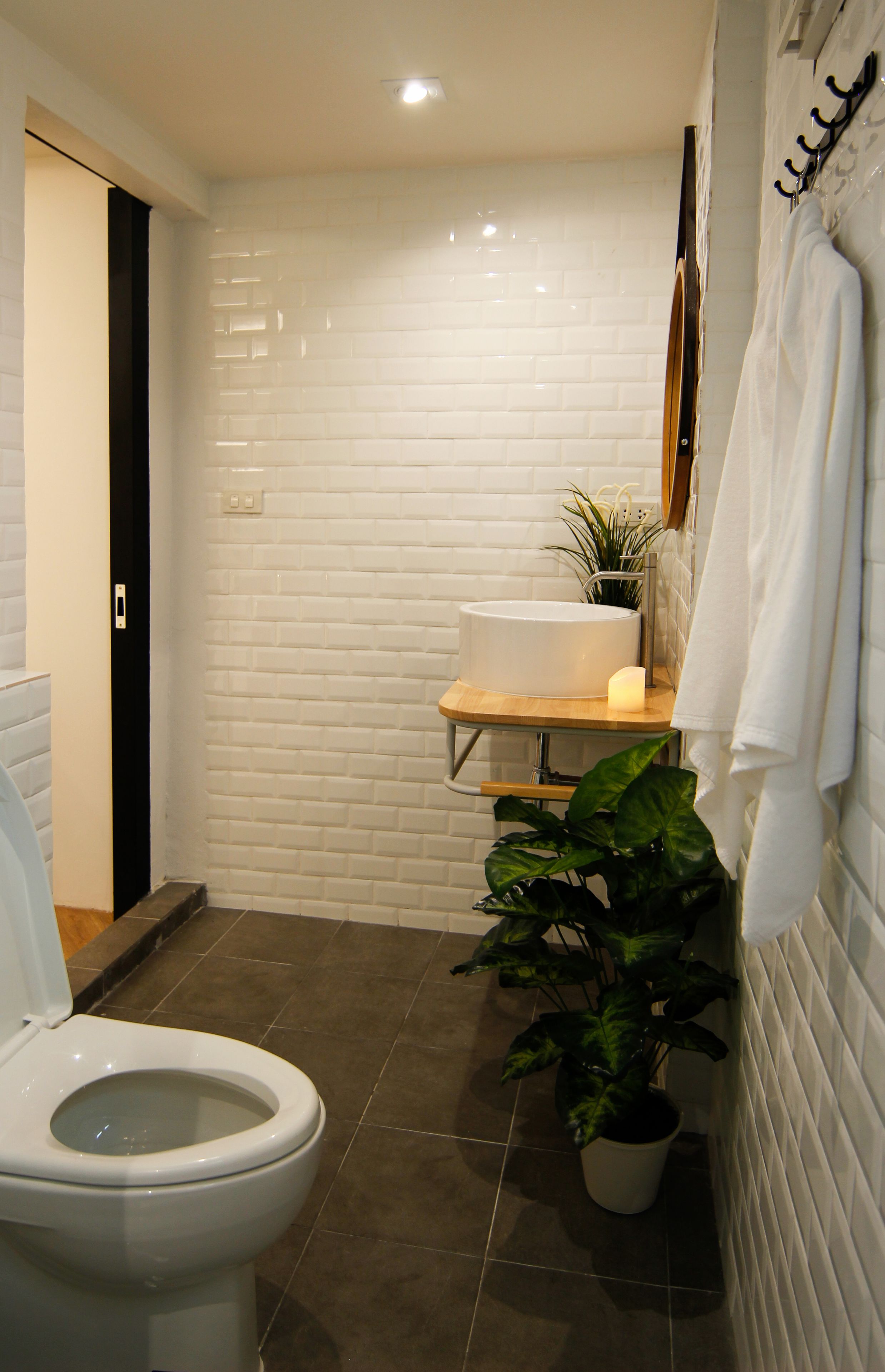 Foto - Tropical Summer Hostel