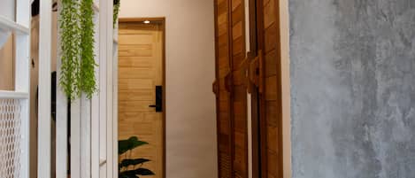 A hallway with a wooden door, a hanging plant, and a potted plant.