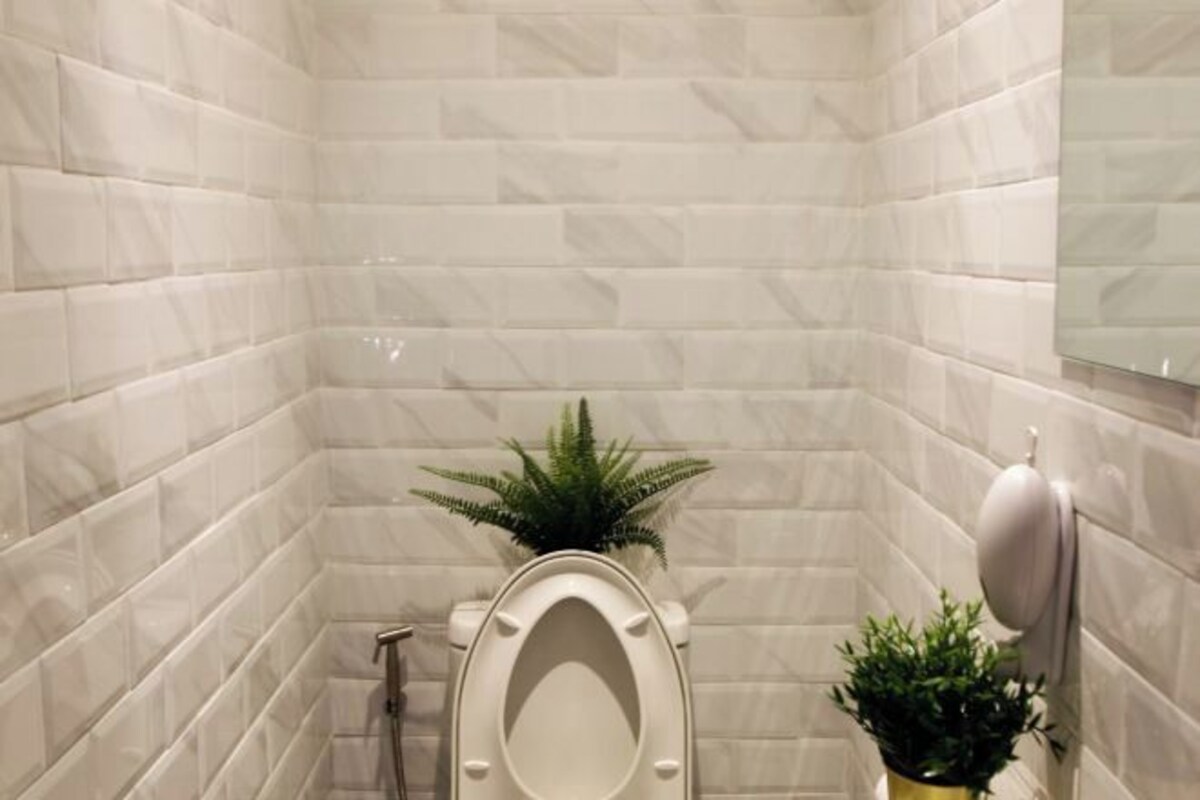 A bathroom with a toilet, a shower, and two potted plants.