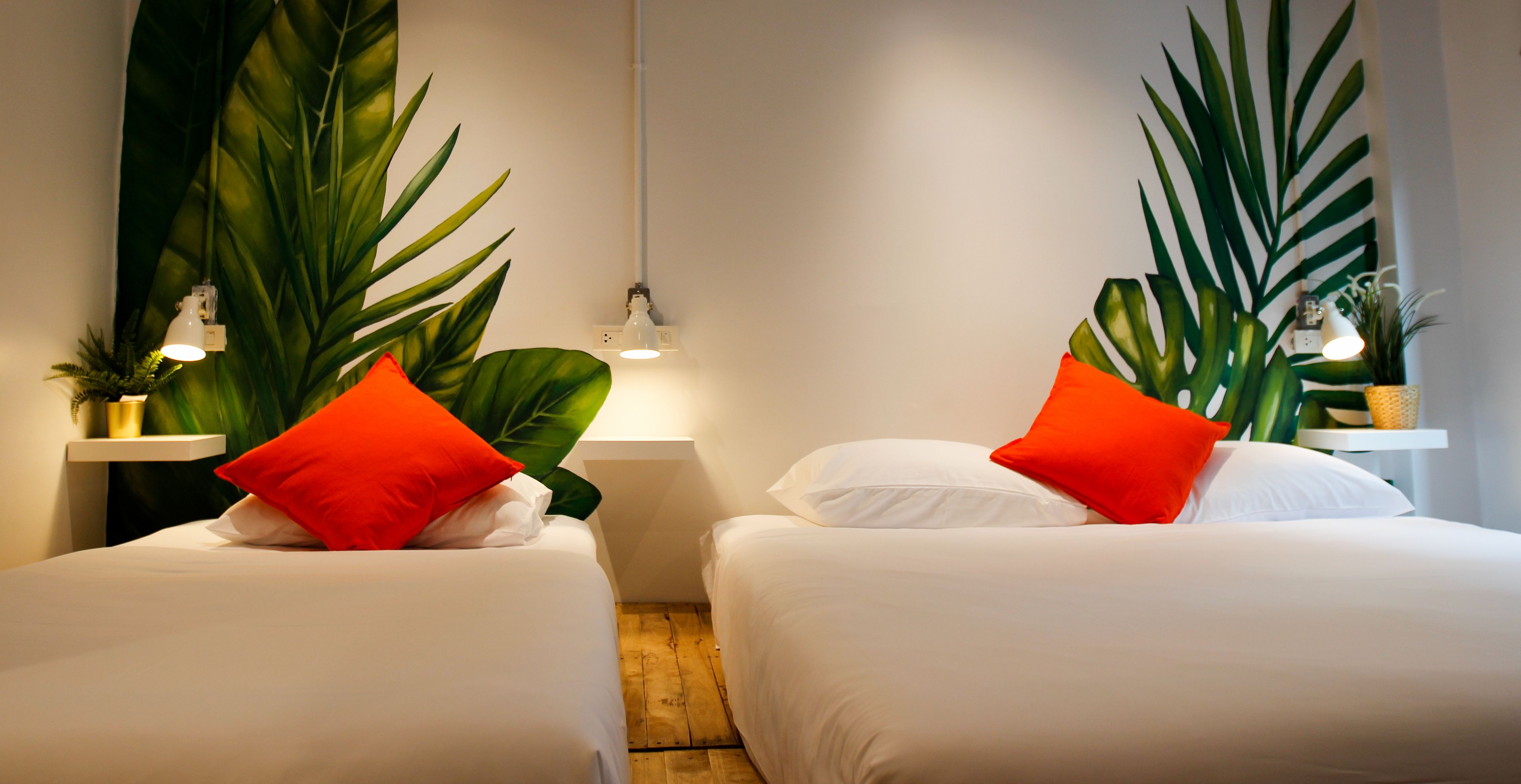 Foto - Tropical Summer Hostel