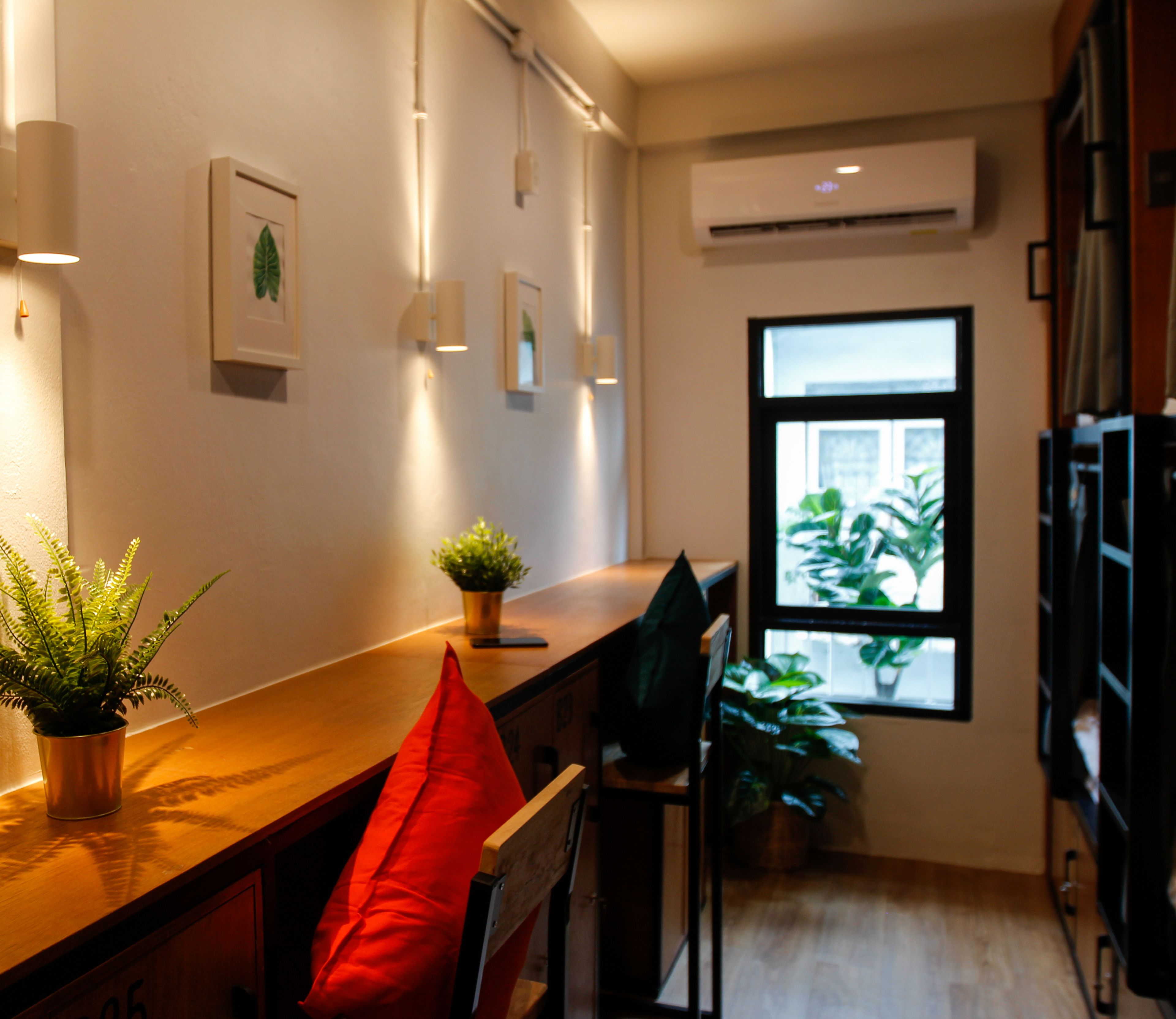 Foto - Tropical Summer Hostel