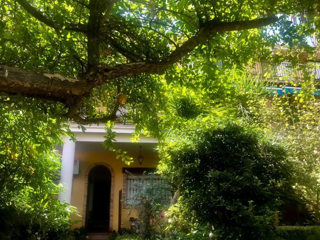 Un edificio con una entrada abovedada, rodeado de abundante vegetación y árboles.
