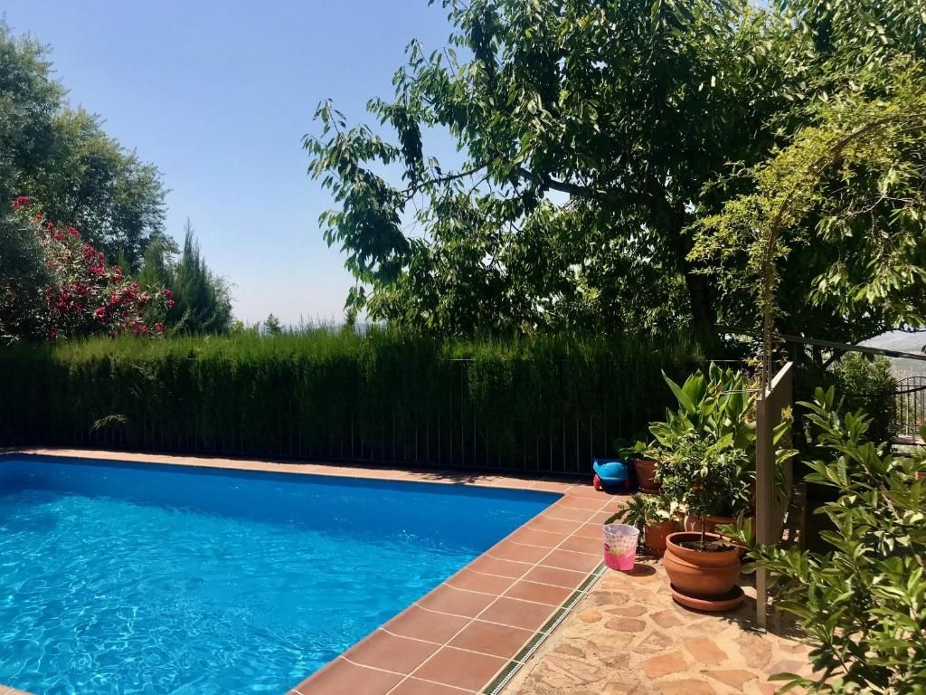 Una piscina con borde de azulejos, rodeada de vegetación y un seto.