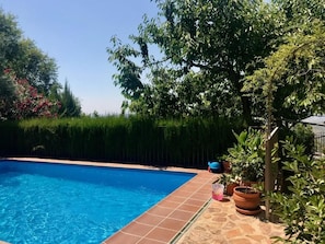 Une piscine dont le bord est revêtu de carrelage, entourée de verdure et d’une haie.